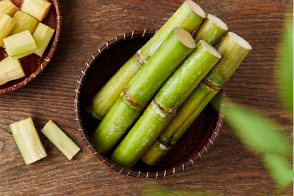 青甘蔗好吃還是紫甘蔗好吃 青甘蔗和紫甘蔗區(qū)別 青甘蔗好吃還是紫甘蔗好吃 青甘蔗和紫甘蔗區(qū)別