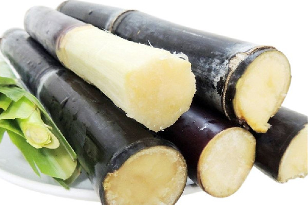 甘蔗有紅色斑點(diǎn)能吃嗎 甘蔗變質(zhì)什么樣子 甘蔗有紅色斑點(diǎn)能吃嗎 甘蔗變質(zhì)什么樣子