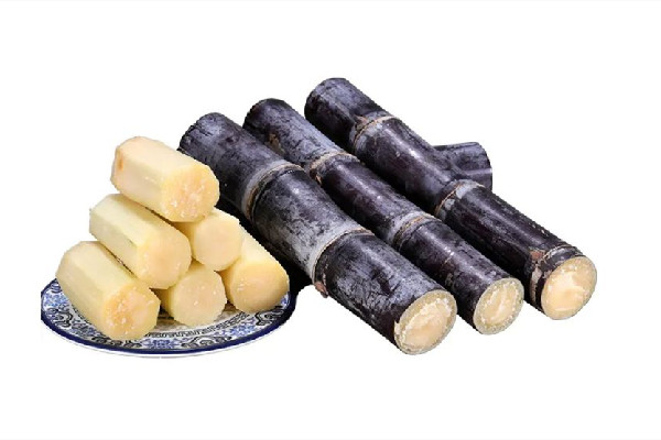 甘蔗有什么營(yíng)養(yǎng)成分 甘蔗適合什么人群吃 甘蔗有什么營(yíng)養(yǎng)成分 甘蔗適合什么人群吃