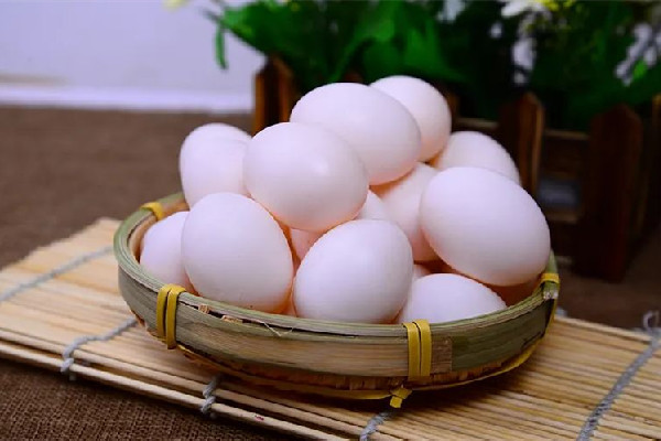 上海一日料店烤2個鴿子蛋標(biāo)價50元 鴿子蛋的功效和作用 上海一日料店烤2個鴿子蛋標(biāo)價50元 鴿子蛋的功效和作用