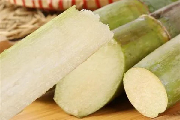 甘蔗有紅色斑點(diǎn)能吃嗎 甘蔗變質(zhì)什么樣子 甘蔗有紅色斑點(diǎn)能吃嗎 甘蔗變質(zhì)什么樣子