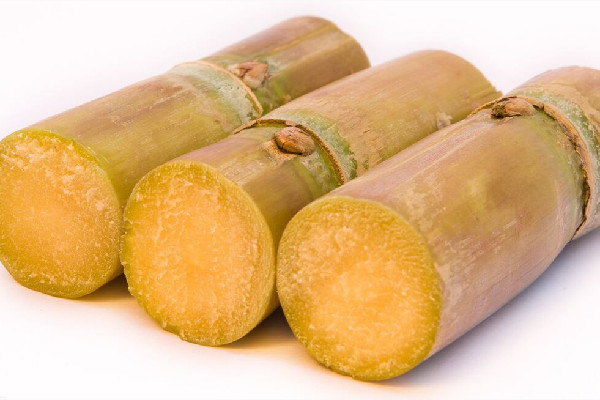 甘蔗怎么挑選比較甜 甘蔗買粗的還是細(xì)的 甘蔗怎么挑選比較甜 甘蔗買粗的還是細(xì)的