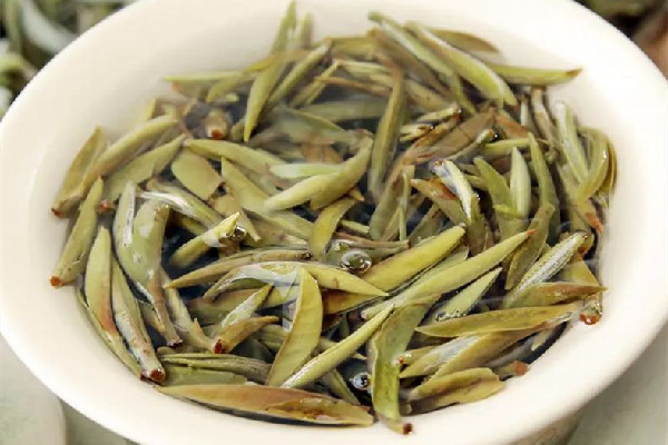 白毫銀針是新茶好還是老茶好 白毫銀針年份越久越好嗎 白毫銀針是新茶好還是老茶好 白毫銀針年份越久越好嗎