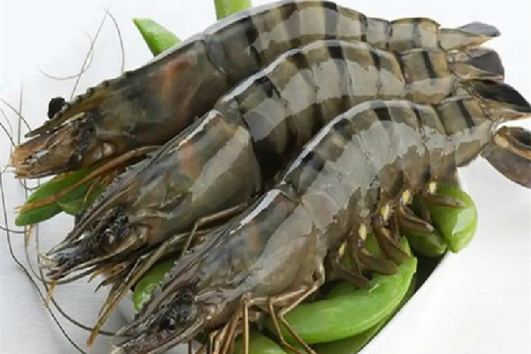 黑虎蝦是淡水蝦還是海水蝦 黑虎蝦是養(yǎng)殖的還是野生的 黑虎蝦是淡水蝦還是海水蝦 黑虎蝦是養(yǎng)殖的還是野生的