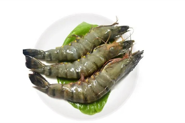黑虎蝦要煮多久 黑虎蝦煮熟后什么顏色 黑虎蝦要煮多久 黑虎蝦煮熟后什么顏色
