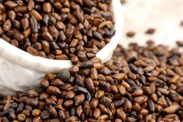 決明子治療眼睛的用法 決明子對近視眼有效嗎 決明子治療眼睛的用法 決明子對近視眼有效嗎