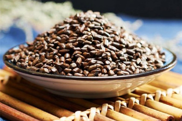 決明子治療眼睛的用法 決明子對近視眼有效嗎 決明子治療眼睛的用法 決明子對近視眼有效嗎