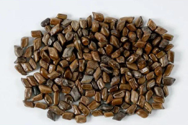 決明子治療眼睛的用法 決明子對近視眼有效嗎 決明子治療眼睛的用法 決明子對近視眼有效嗎