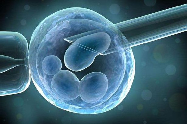 試管嬰兒被弄錯(cuò)與現(xiàn)父母均無血緣 試管嬰兒需要什么條件才能做