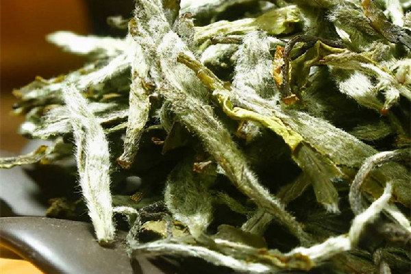 白牡丹茶屬于什么茶類(lèi) 白牡丹茶和白茶的區(qū)別 白牡丹茶屬于什么茶類(lèi) 白牡丹茶和白茶的區(qū)別