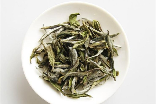 白牡丹茶屬于什么茶類(lèi) 白牡丹茶和白茶的區(qū)別 白牡丹茶屬于什么茶類(lèi) 白牡丹茶和白茶的區(qū)別