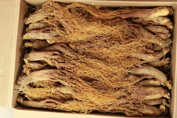 紅參買什么樣的好 紅參怎么辨別真假 紅參買什么樣的好 紅參怎么辨別真假