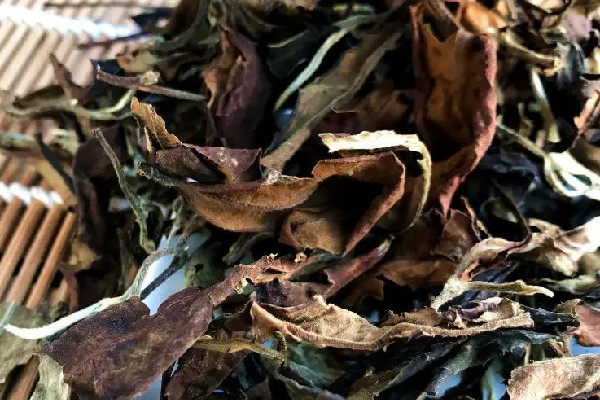 老白茶有霉味正常嗎 老白茶過期了還能喝嗎 老白茶有霉味正常嗎 老白茶過期了還能喝嗎