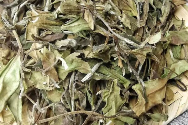 老白茶用多少度的水沖泡好 老白茶用什么茶具最好 老白茶用多少度的水沖泡好 老白茶用什么茶具最好