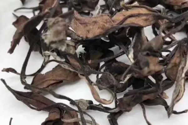 老白茶有霉味正常嗎 老白茶過期了還能喝嗎 老白茶有霉味正常嗎 老白茶過期了還能喝嗎