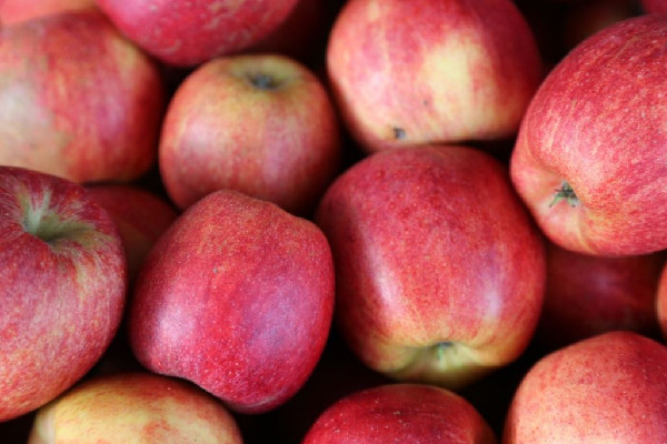 女子稱水果店買到雙皮蘋果 蘋果的營養(yǎng)價值和功效 女子稱水果店買到雙皮蘋果 蘋果的營養(yǎng)價值和功效