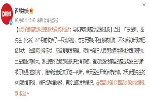 男子擼貓后淋巴結(jié)腫大高燒不退 被貓抓了怎么判斷沒(méi)事 男子擼貓后淋巴結(jié)腫大高燒不退 被貓抓了怎么判斷沒(méi)事