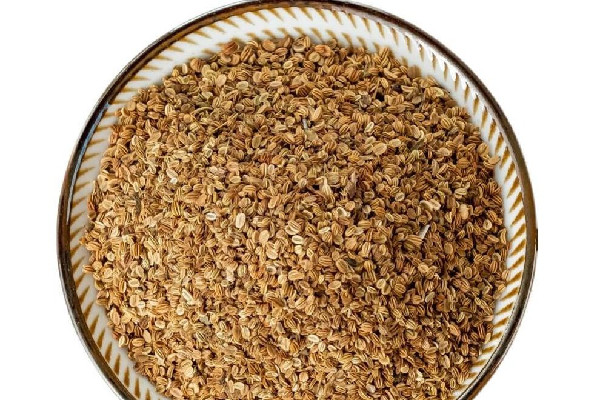 蛇床子泡水喝功效作用 蛇床子泡水喝能壯陽嗎 蛇床子泡水喝功效作用 蛇床子泡水喝能壯陽嗎