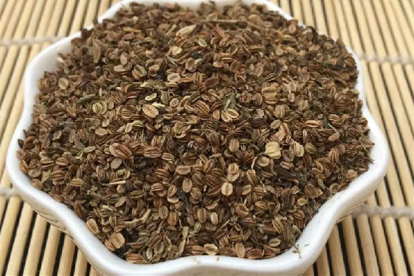 蛇床子可以泡酒嗎 蛇床子泡酒用量 蛇床子可以泡酒嗎 蛇床子泡酒用量