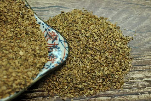 蛇床子可以泡酒嗎 蛇床子泡酒用量 蛇床子可以泡酒嗎 蛇床子泡酒用量