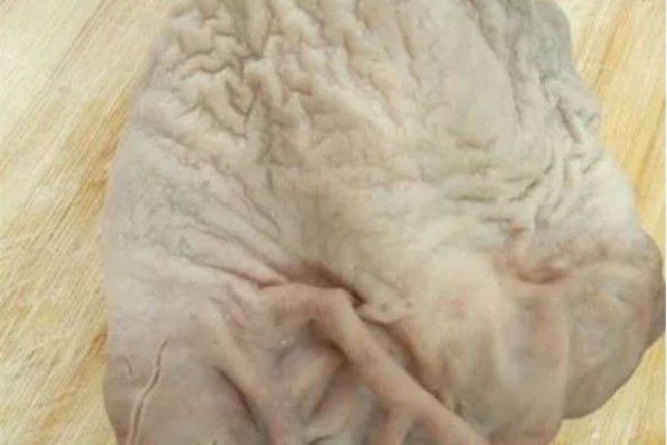 豬肚是內臟嗎 豬肚的嘌呤含量高嗎 豬肚是內臟嗎 豬肚的嘌呤含量高嗎