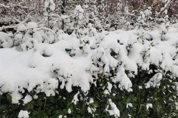 寒潮即將席卷國內(nèi)大部分地區(qū) 寒潮一般發(fā)生在什么季節(jié) 寒潮即將席卷國內(nèi)大部分地區(qū) 寒潮一般發(fā)生在什么季節(jié)