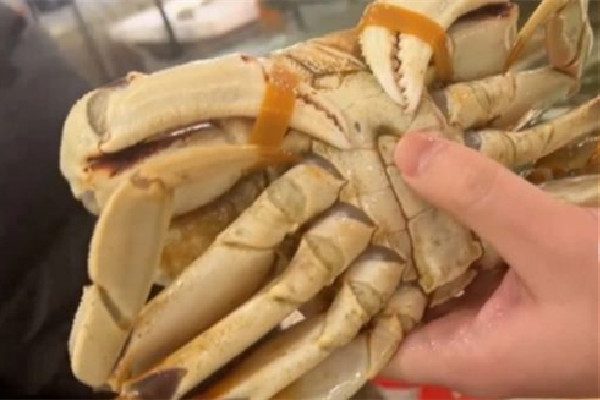 一斤皮筋賣出上百元螃蟹價(jià) 買螃蟹要注意什么 一斤皮筋賣出上百元螃蟹價(jià) 買螃蟹要注意什么