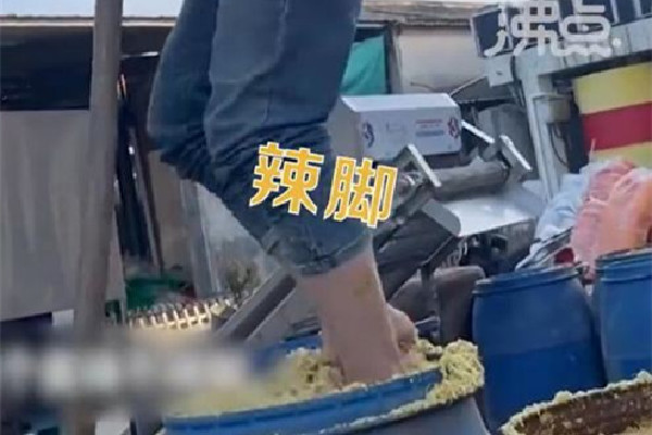 汕頭腌制廠(chǎng)工人用腳踩菜 酸菜用什么菜做的 汕頭腌制廠(chǎng)工人用腳踩菜 酸菜用什么菜做的