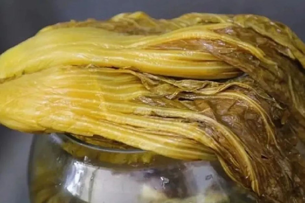 汕頭腌制廠(chǎng)工人用腳踩菜 酸菜用什么菜做的 汕頭腌制廠(chǎng)工人用腳踩菜 酸菜用什么菜做的