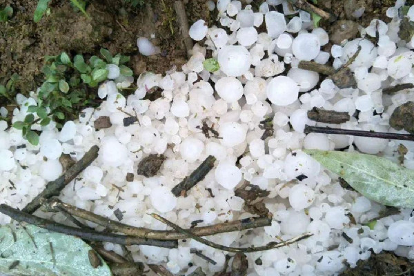 南方多地遭冰雹襲擊 冰雹是哪個(gè)季節(jié)下的 南方多地遭冰雹襲擊 冰雹是哪個(gè)季節(jié)下的