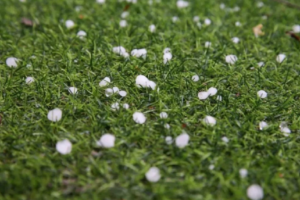 南方多地遭冰雹襲擊 冰雹是哪個季節(jié)下的