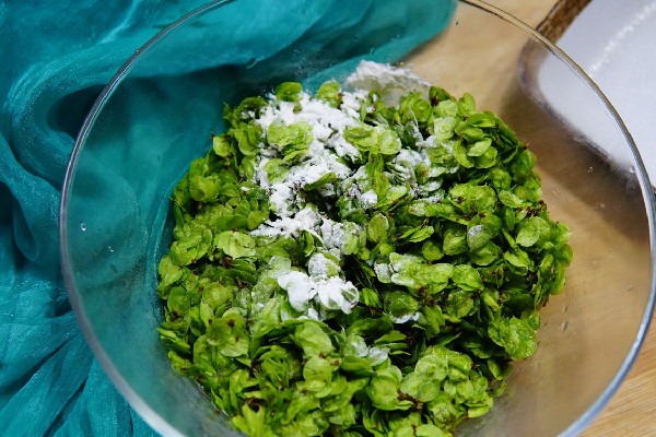 榆錢可以減肥嗎 榆錢減肥能當(dāng)主食吃嗎 榆錢可以減肥嗎 榆錢減肥能當(dāng)主食吃嗎