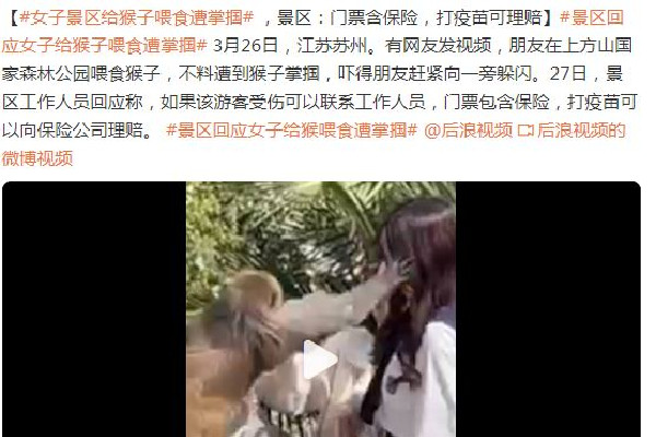 女子給猴子喂食被掌摑景區(qū)回應(yīng) 猴子會(huì)主動(dòng)攻擊人嗎 女子給猴子喂食被掌摑景區(qū)回應(yīng) 猴子會(huì)主動(dòng)攻擊人嗎