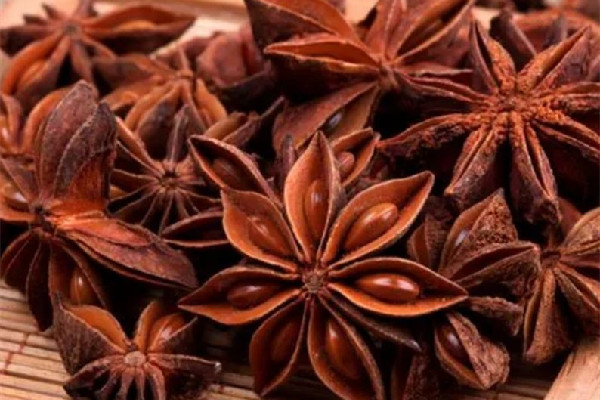 抗流感特效藥“達(dá)菲”原料為八角茴香 八角茴香的功效和作用 抗流感特效藥“達(dá)菲”原料為八角茴香 八角茴香的功效和作用