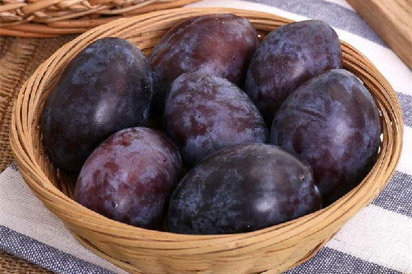 西梅有維生素c嗎 西梅可以補充什么營養(yǎng) 西梅有維生素c嗎 西梅可以補充什么營養(yǎng)