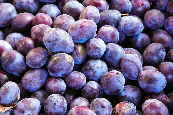 西梅要洗嗎 西梅怎么清洗才干凈 西梅要洗嗎 西梅怎么清洗才干凈