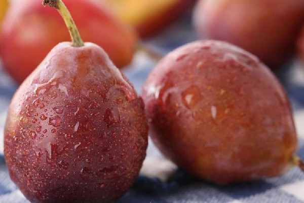 西梅有維生素c嗎 西梅可以補充什么營養(yǎng) 西梅有維生素c嗎 西梅可以補充什么營養(yǎng)