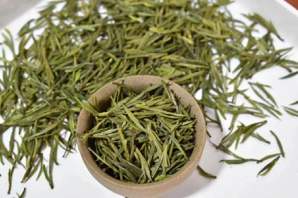 安吉白茶和福鼎白茶的區(qū)別 安吉白茶和福鼎白茶哪種好