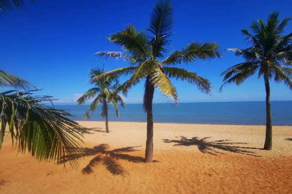 海南全島封關(guān)是什么意思 海南有什么特產(chǎn)值得買(mǎi)回家 海南全島封關(guān)是什么意思 海南有什么特產(chǎn)值得買(mǎi)回家