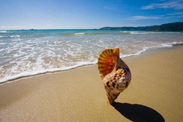 海南全島封關(guān)是什么意思 海南有什么特產(chǎn)值得買(mǎi)回家