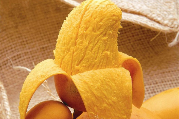 芒果的功效和作用 芒果可以多吃嗎 芒果的功效和作用 芒果可以多吃嗎