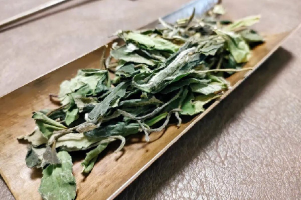 貢眉白茶的功效和作用 貢眉白茶可以減肥嗎 貢眉白茶的功效和作用 貢眉白茶可以減肥嗎