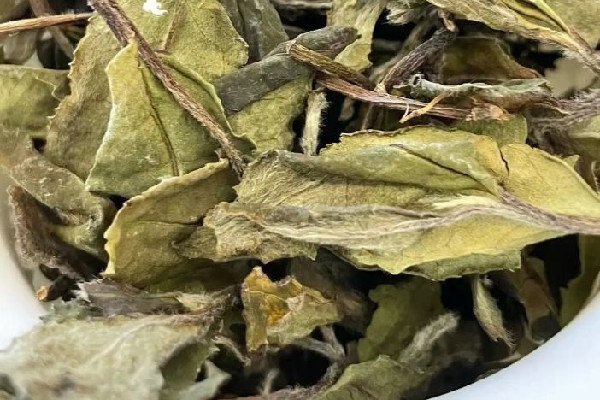 貢眉白茶的功效和作用 貢眉白茶可以減肥嗎