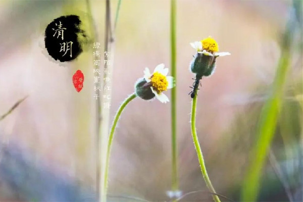 這周只上四天班 清明是不是二十四節(jié)氣之一 這周只上四天班 清明是不是二十四節(jié)氣之一