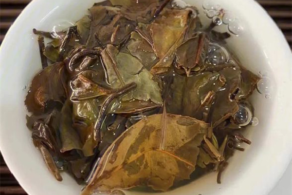 貢眉白茶是涼性還是熱性 貢眉白茶上火嗎 貢眉白茶是涼性還是熱性 貢眉白茶上火嗎