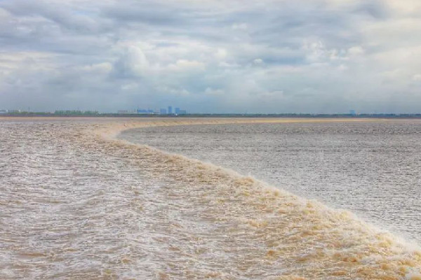 3人觀潮剛被勸離潮水涌來 觀潮什么時(shí)候最好 3人觀潮剛被勸離潮水涌來 觀潮什么時(shí)候最好