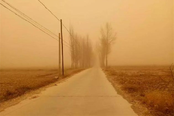 女子忘關窗回家掃土1小時 沙塵天氣要關窗戶嗎 女子忘關窗回家掃土1小時 沙塵天氣要關窗戶嗎