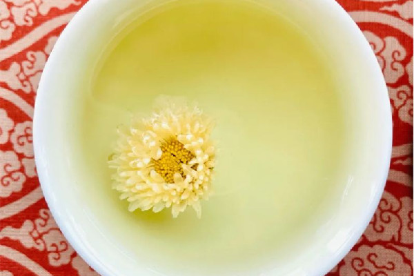 菊花茶哪種菊花好 菊花茶是胎菊好還是大菊花好 菊花茶哪種菊花好 菊花茶是胎菊好還是大菊花好