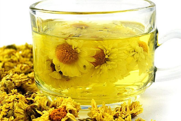 菊花茶喝了拉肚子怎么回事 菊花茶對胃有影響嗎 菊花茶喝了拉肚子怎么回事 菊花茶對胃有影響嗎