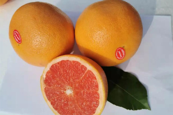 葡萄柚會影響藥效嗎 葡萄柚和什么藥不能一起吃 葡萄柚會影響藥效嗎 葡萄柚和什么藥不能一起吃